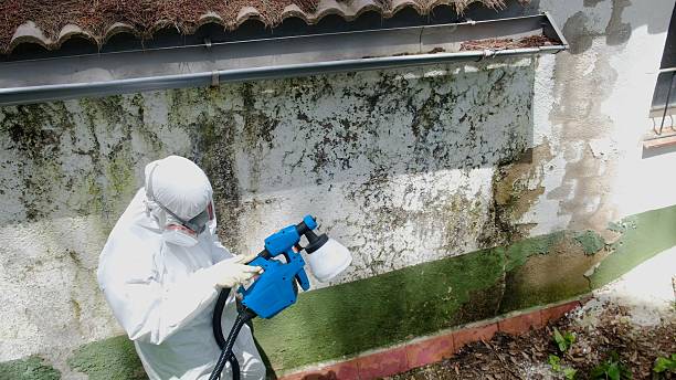 Trusted Mold Testing service in Atlantic Highlands, NJ - Cheap Mold Removal